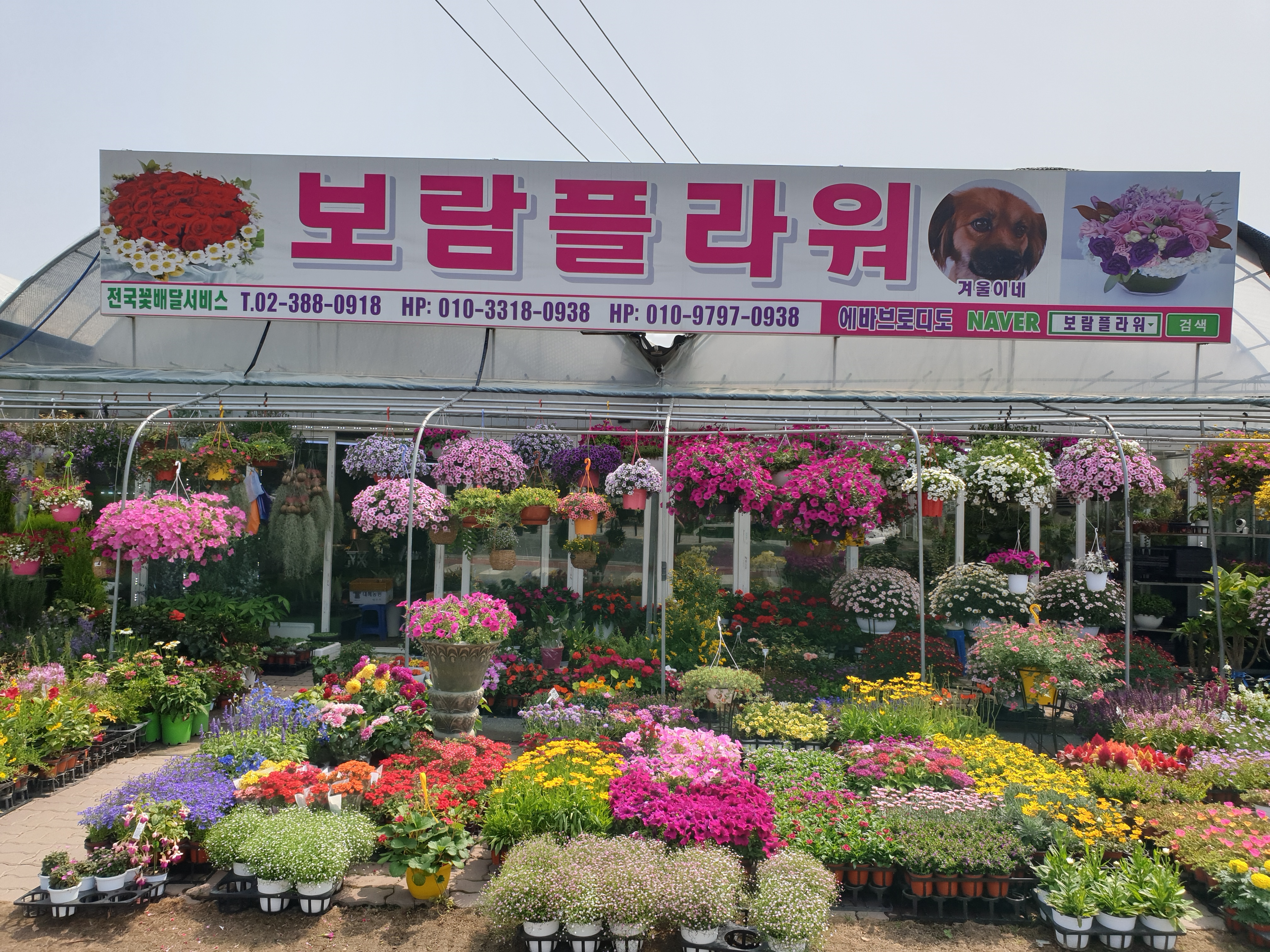 보람플라워