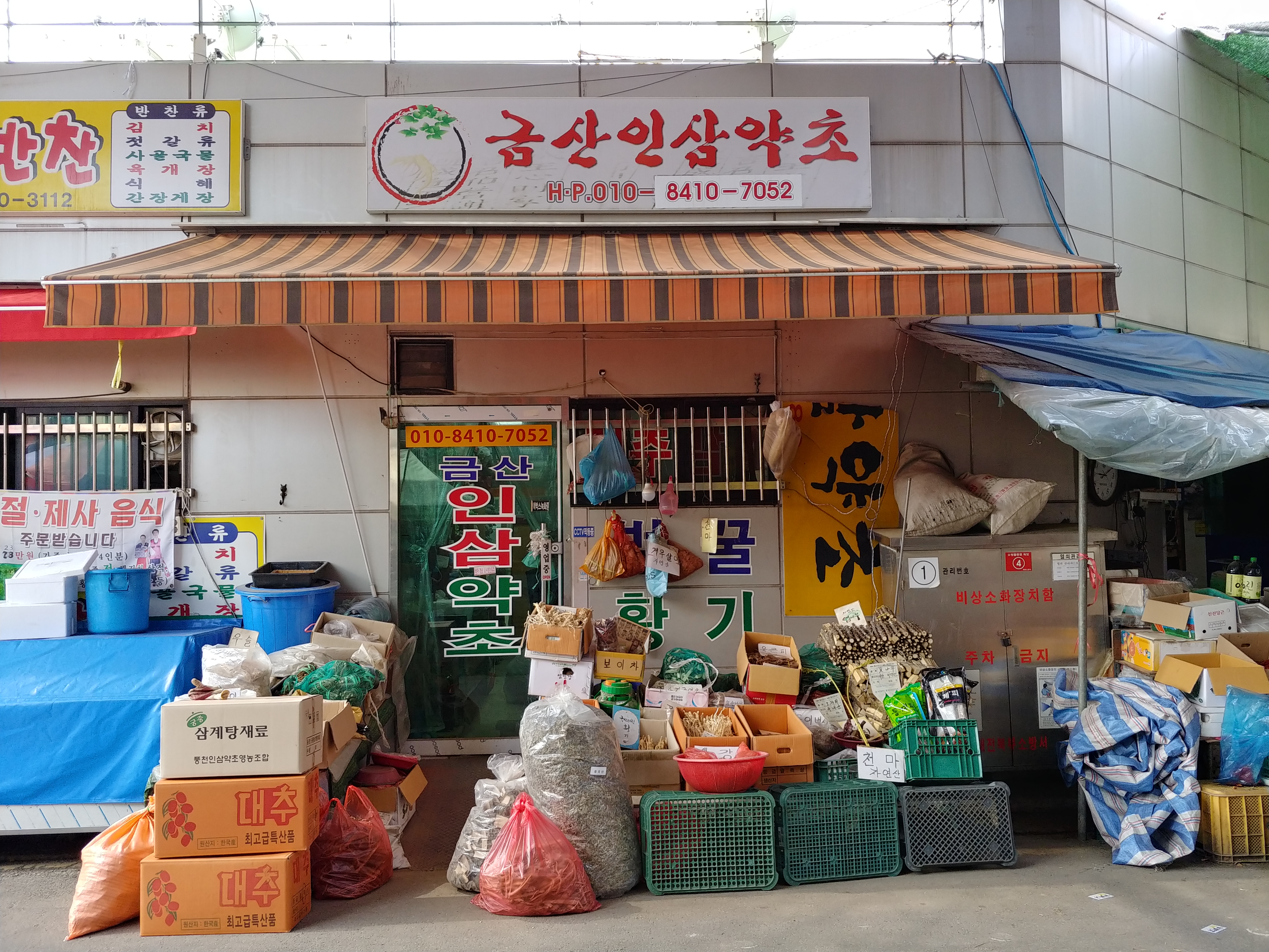 금산인삼약초