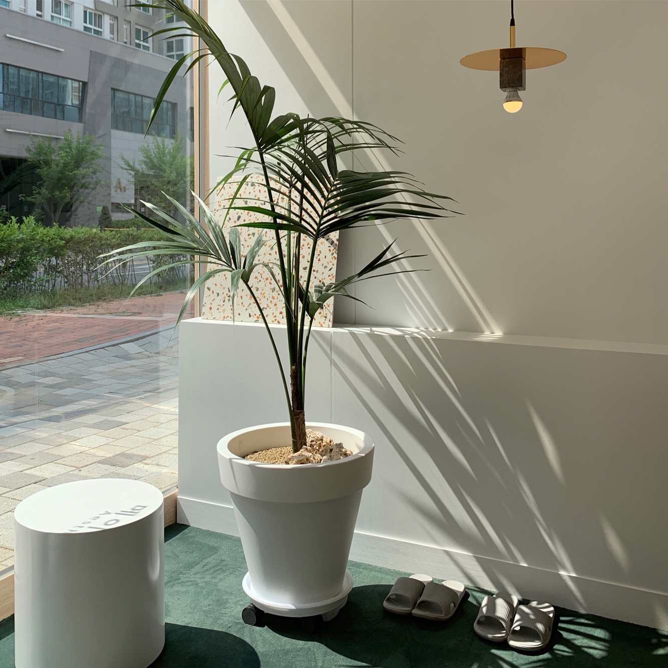 메이다움 photo 3