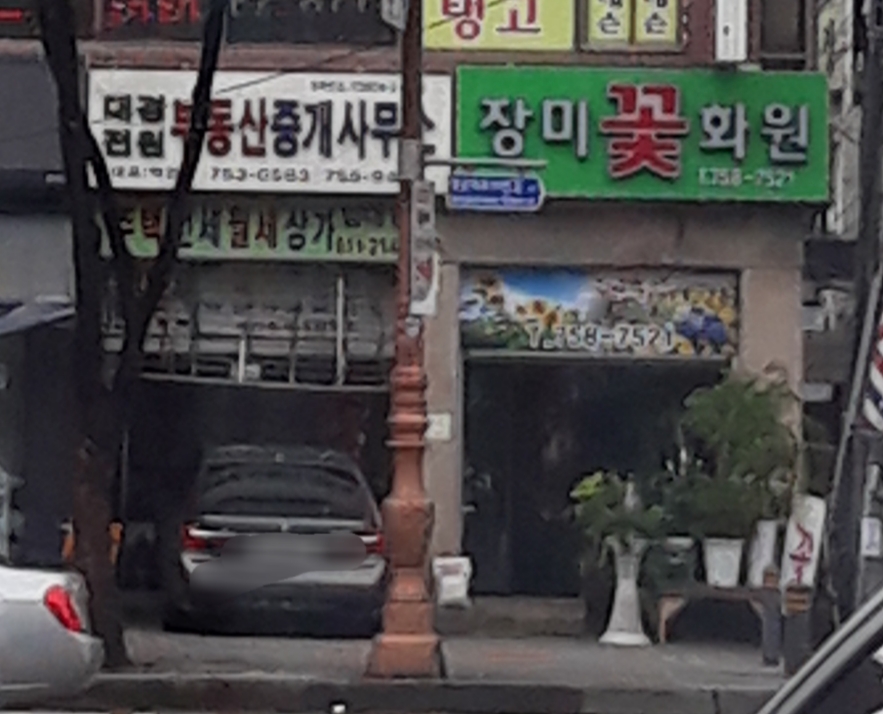 장미꽃화원