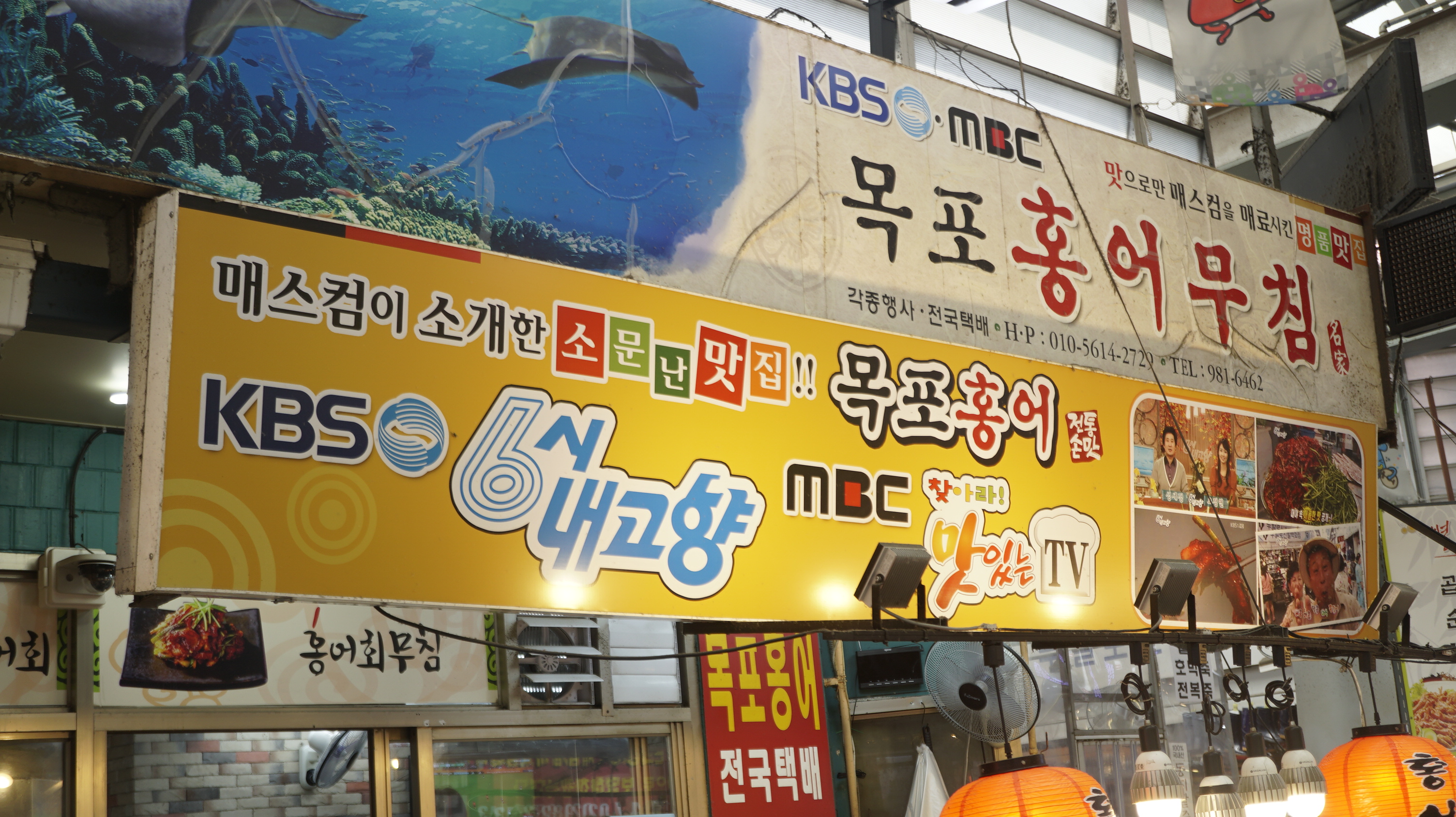 목포홍어