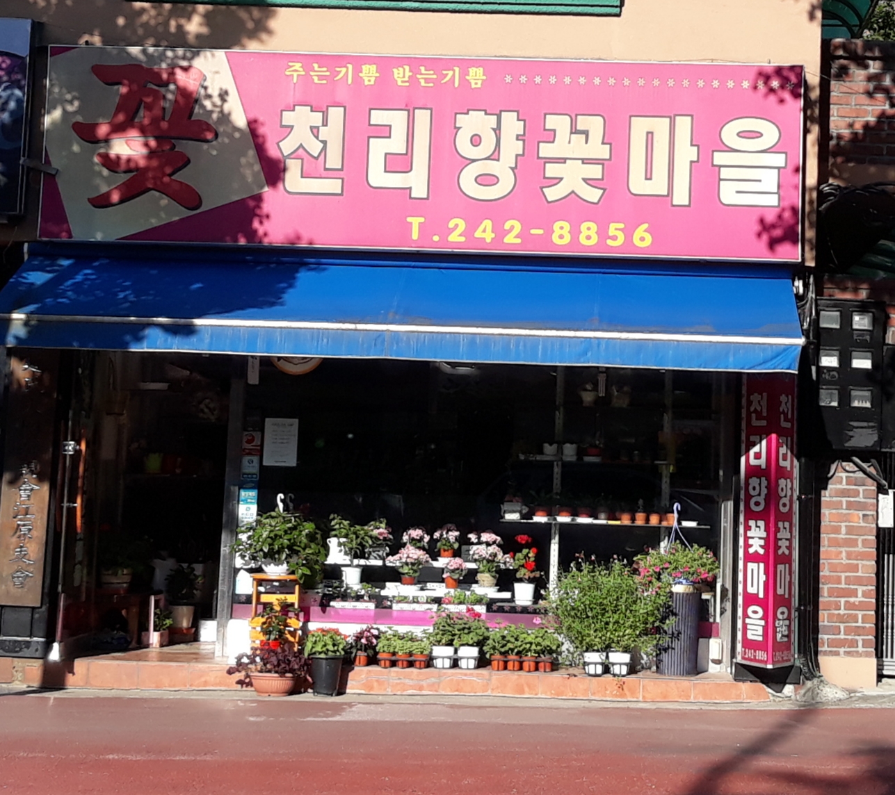 천리향꽃마을