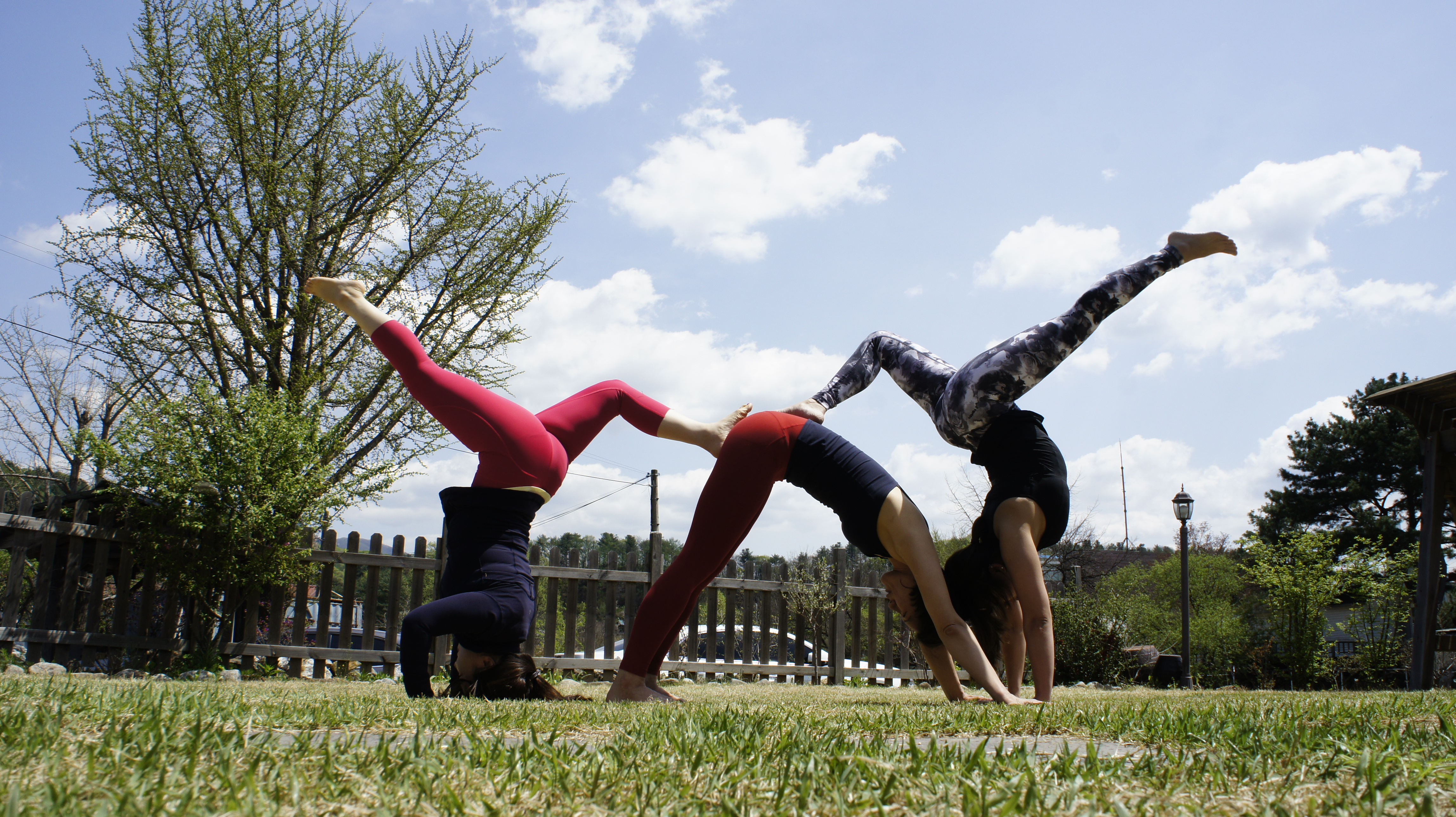 아쉬탕가요가 다원 대표 이미지