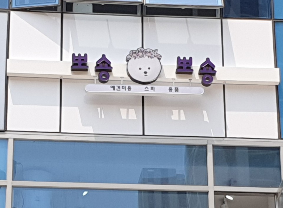 뽀숑뽀숑