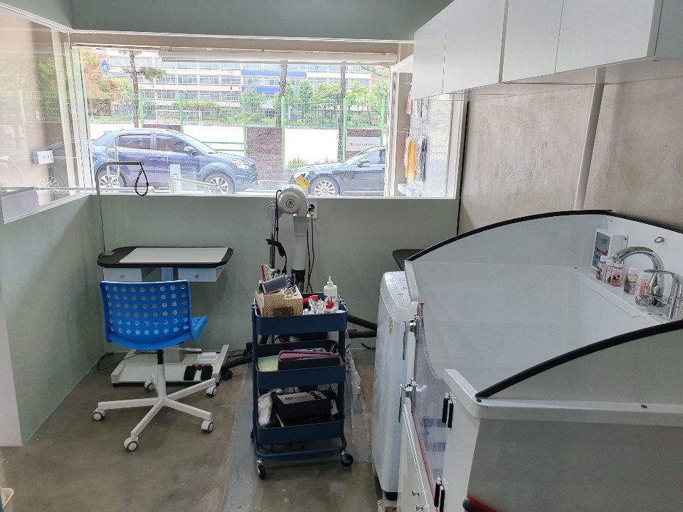 내품에 강아지 대표 이미지