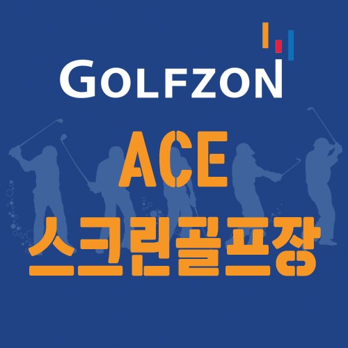 에이스스크린골프