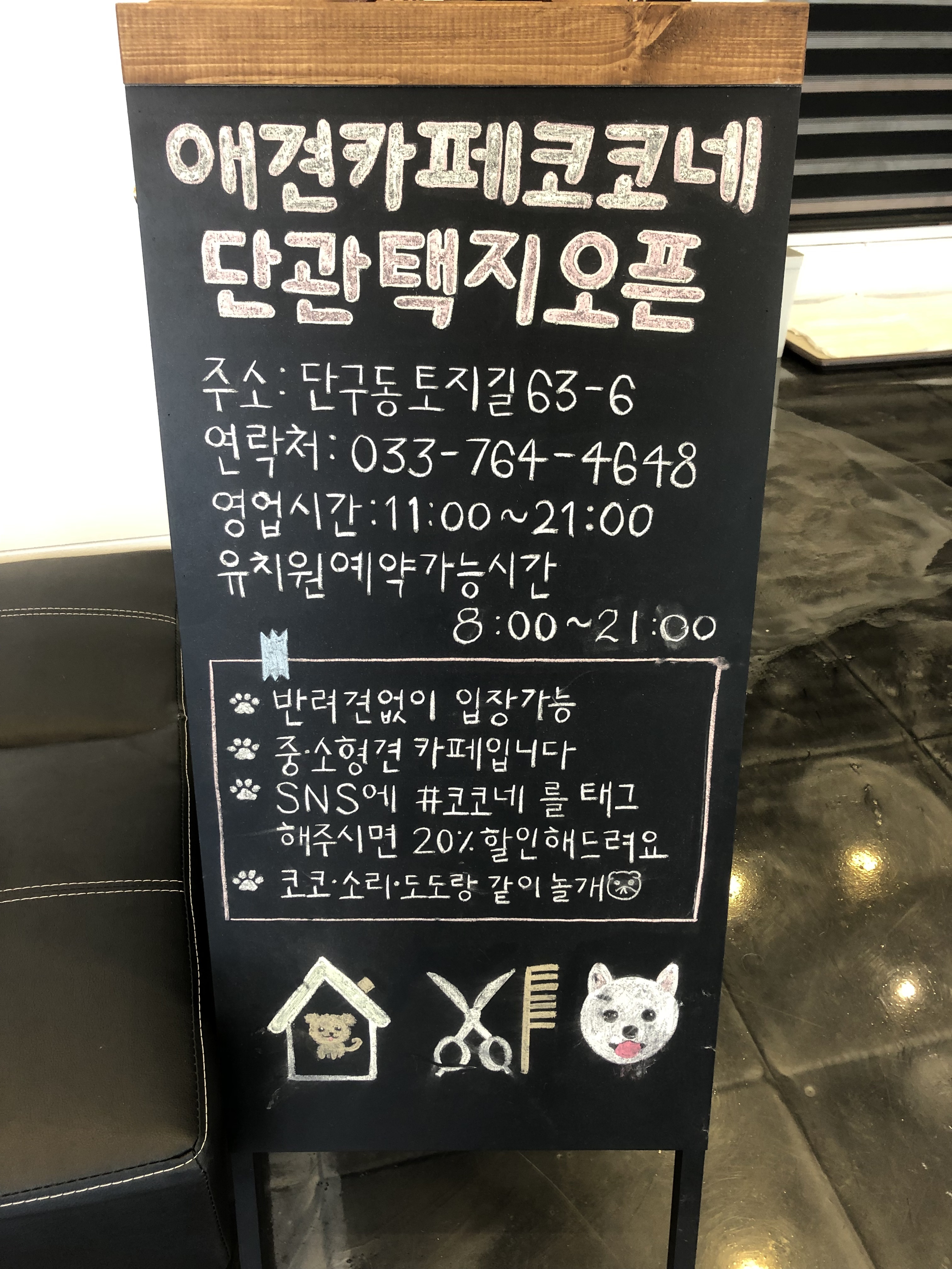 코코네 대표 이미지