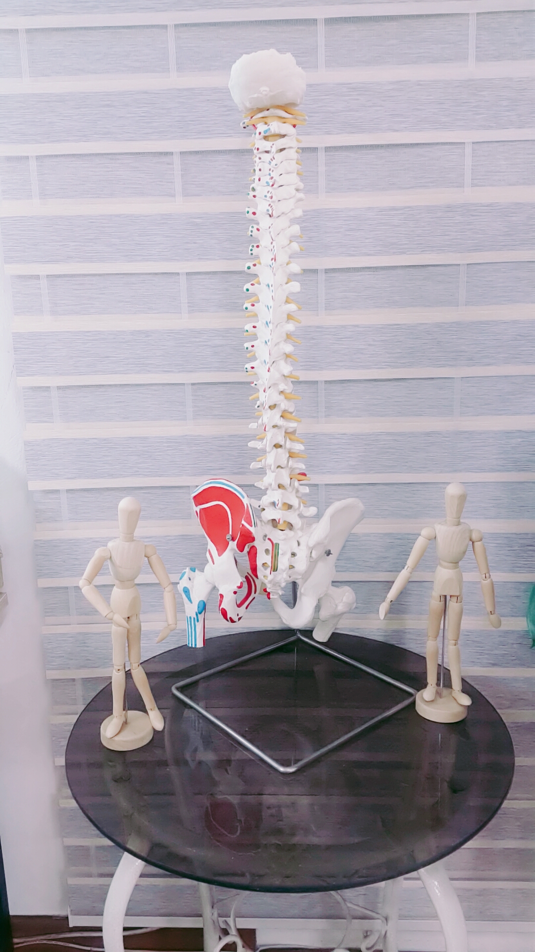 카이로 허리통증 체형관리센터 photo 6