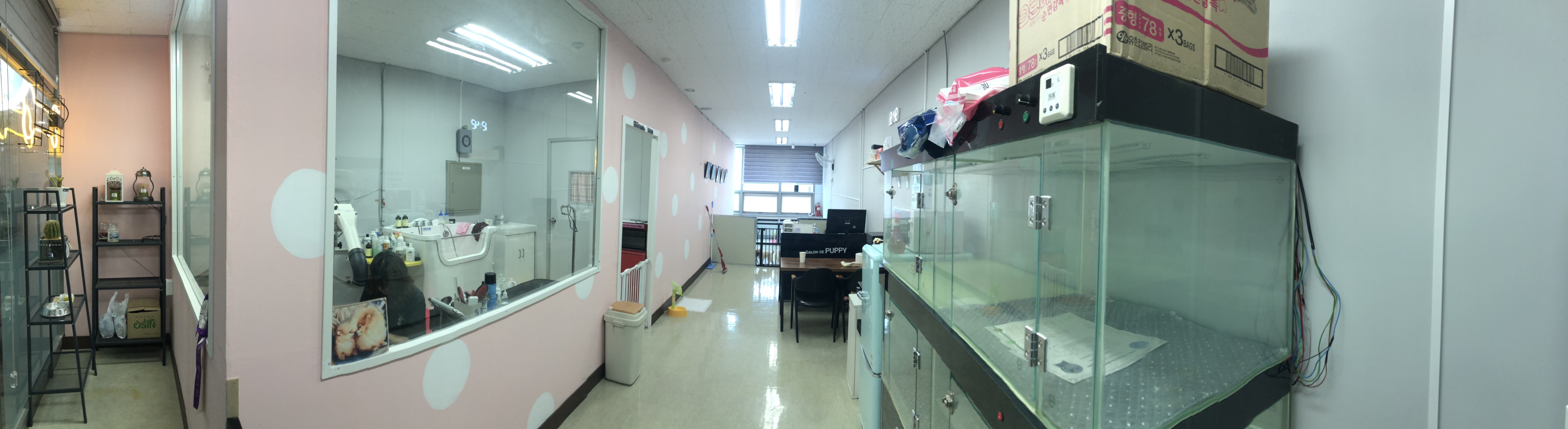 살롱드퍼피 대표 이미지