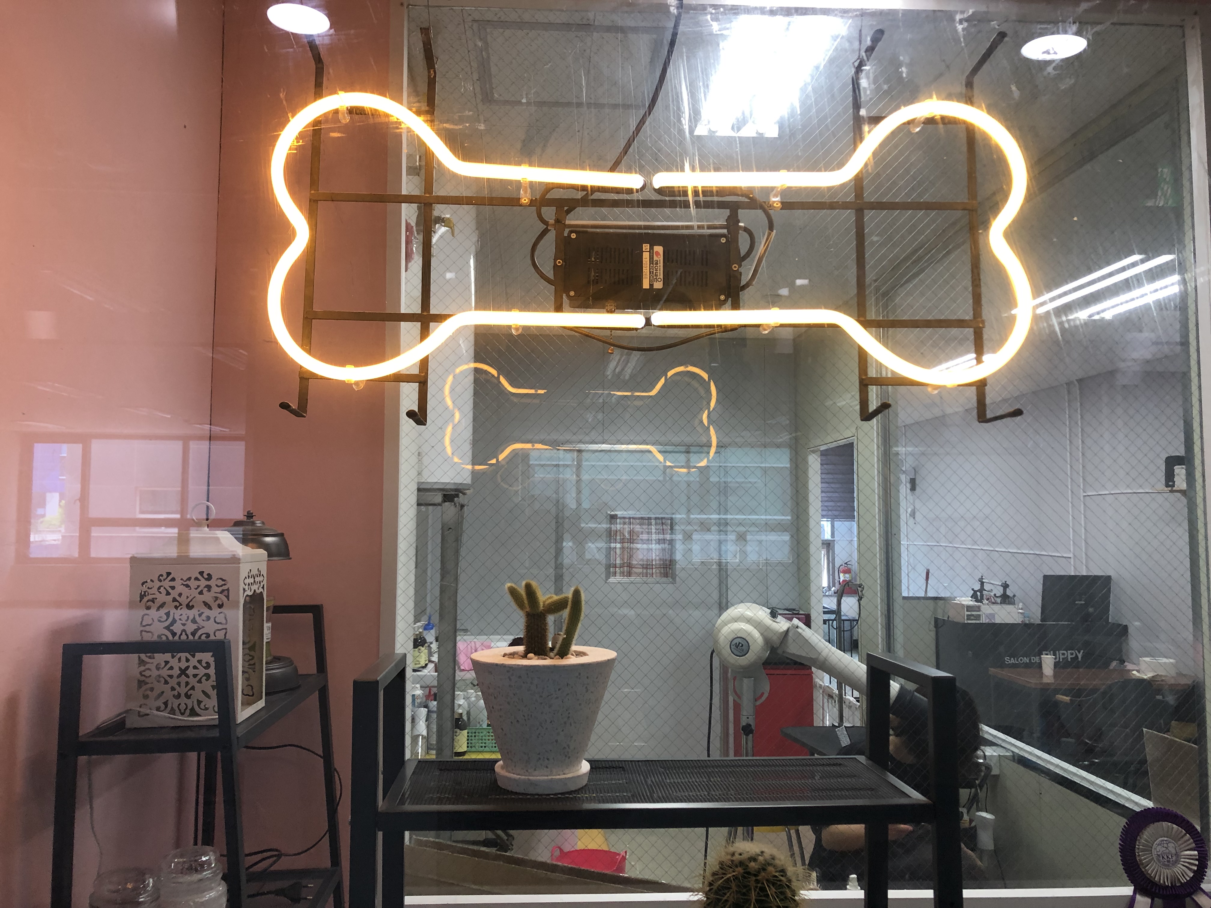 살롱드퍼피 대표 이미지