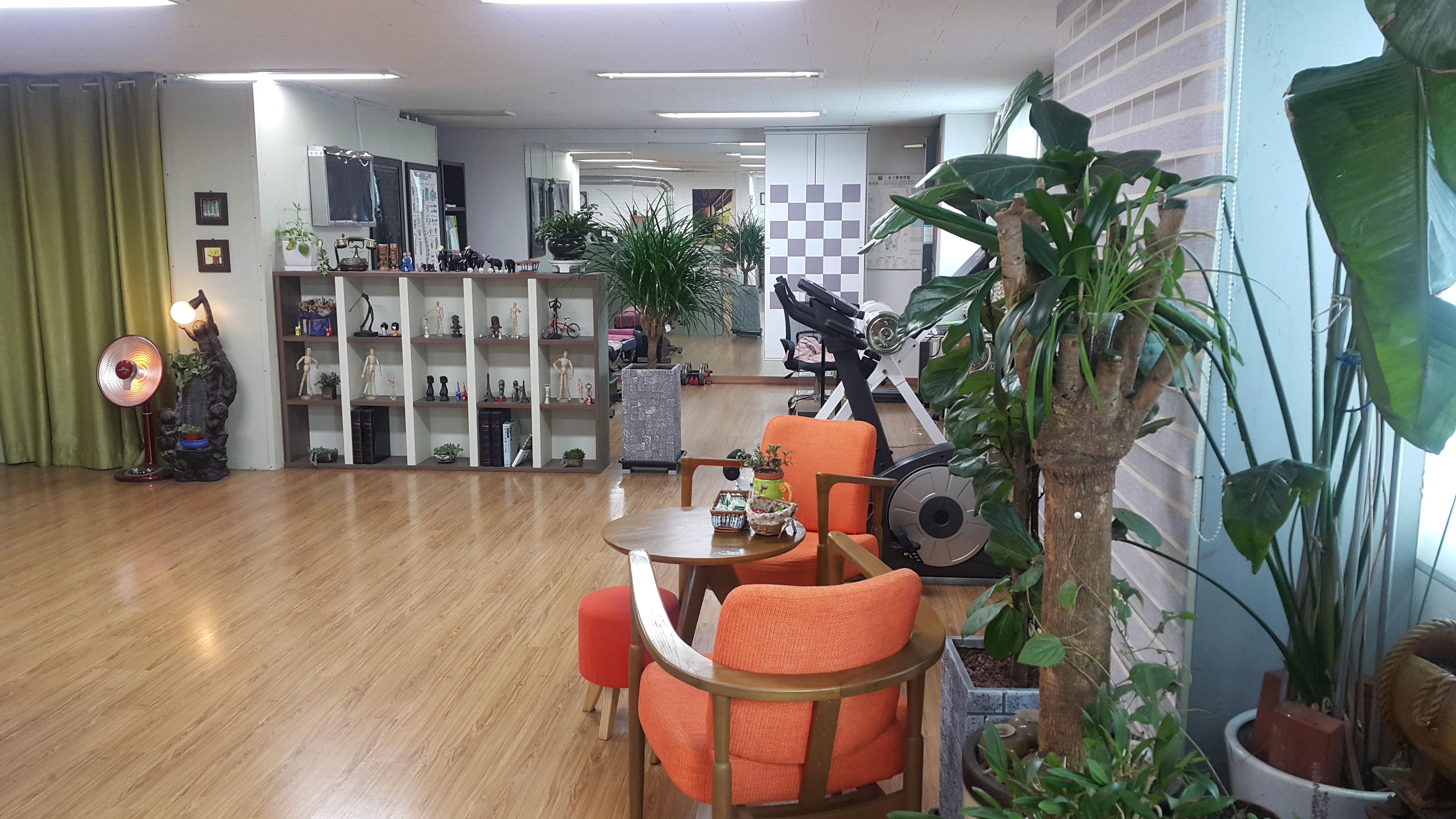 카이로 허리통증 체형관리센터 photo 10