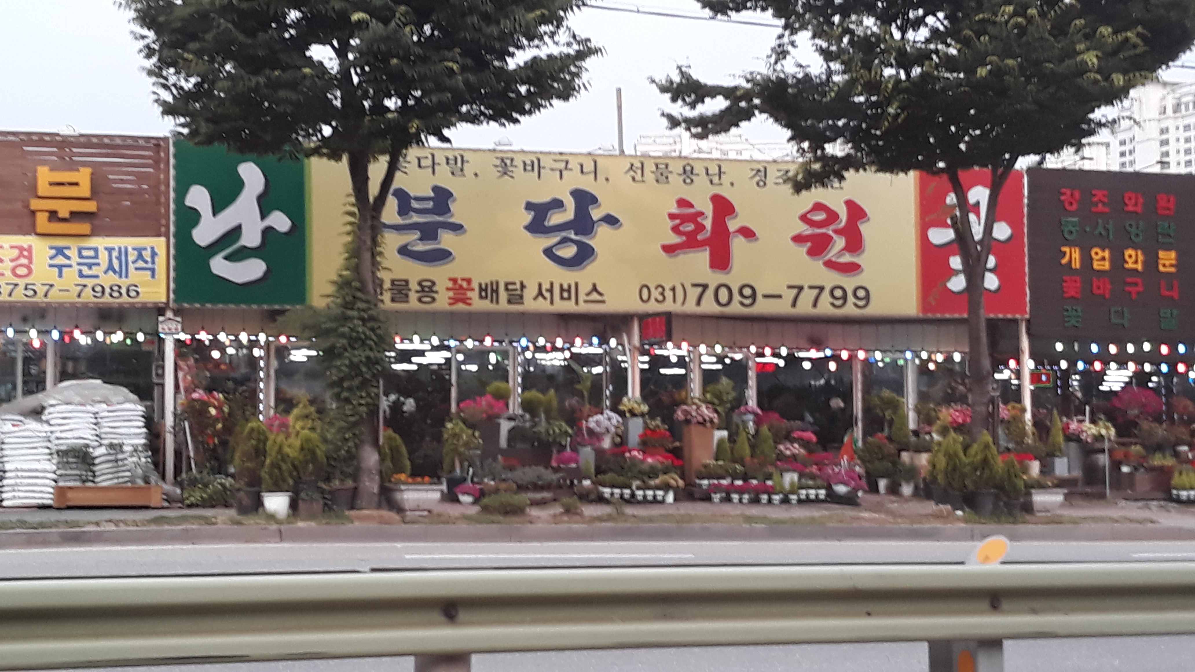 분당화원