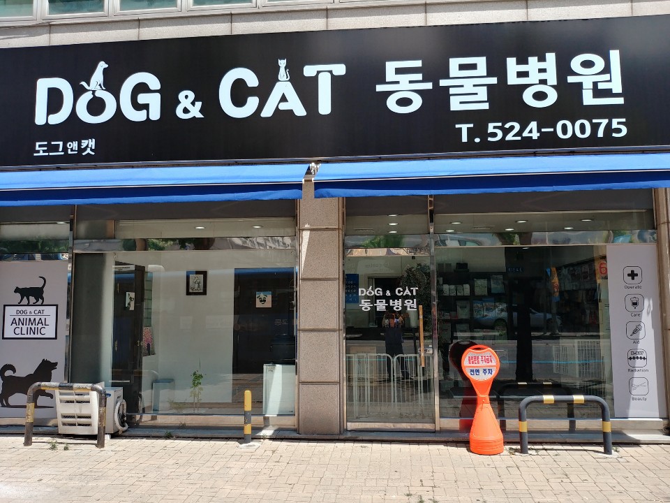 도그앤캣동물병원 대표 이미지
