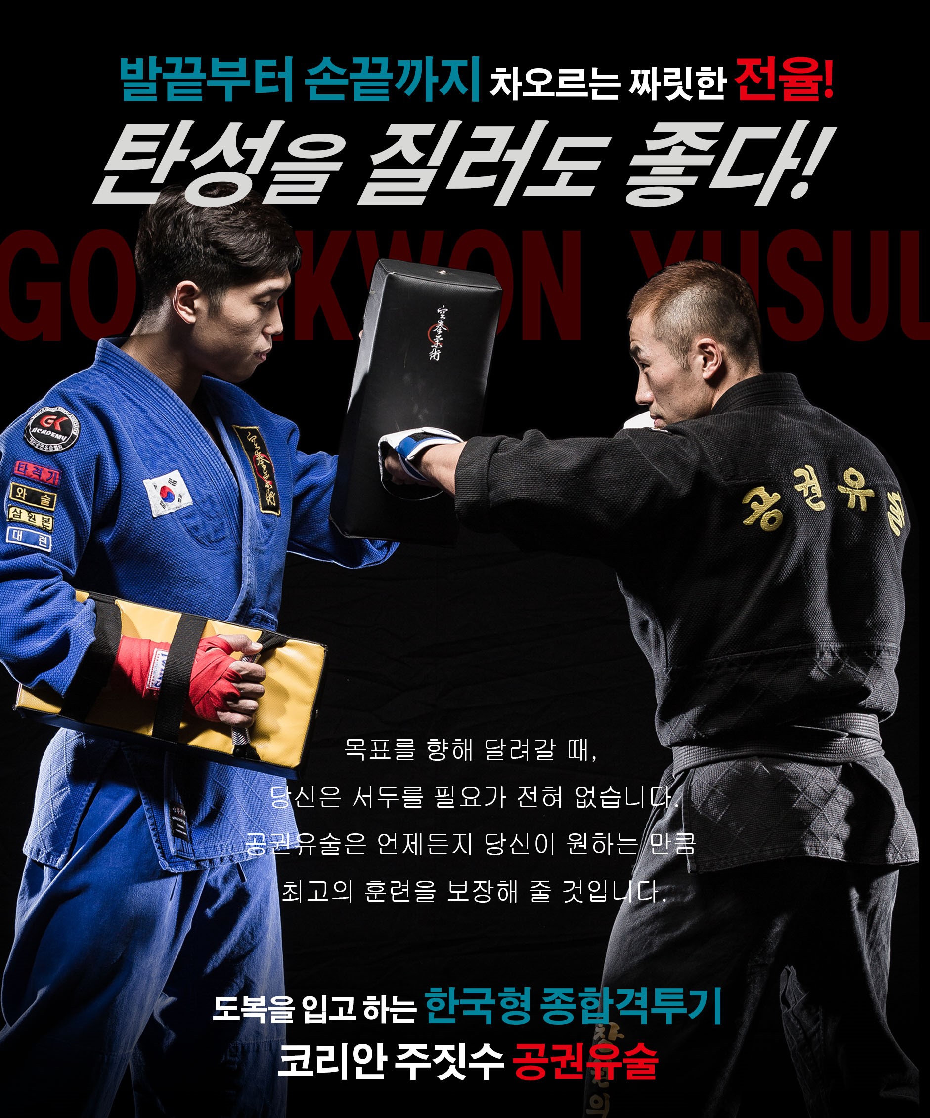 안성 코리안 주짓수 종합격투기 공권유술 대표 이미지