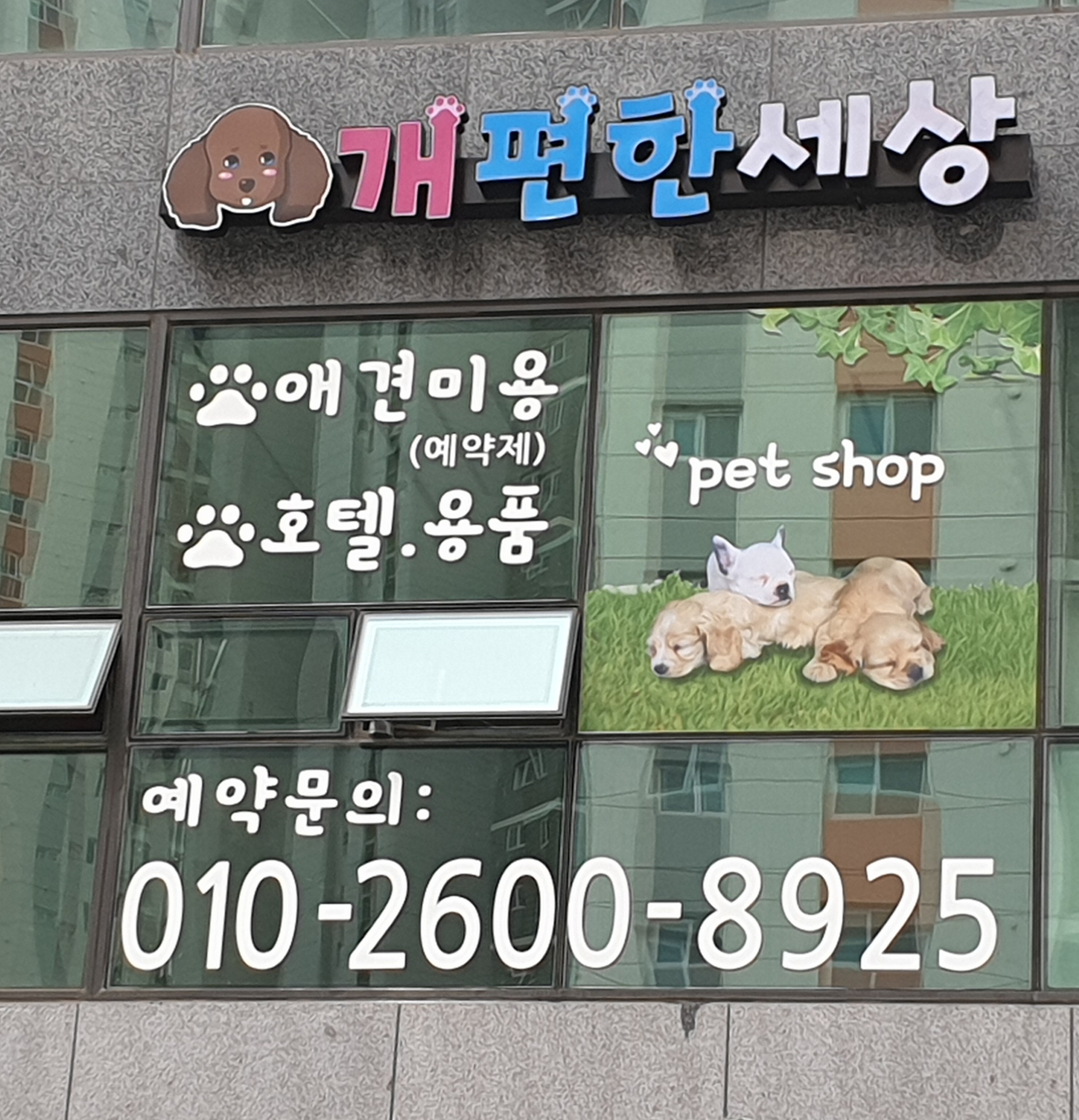 개편한세상 2