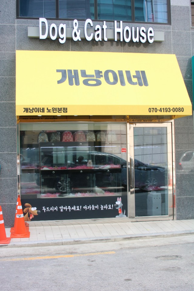 개냥이네 노원본점