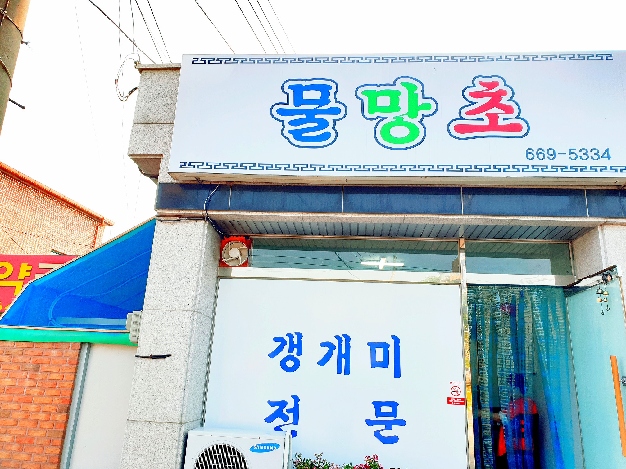물망초 설명사진