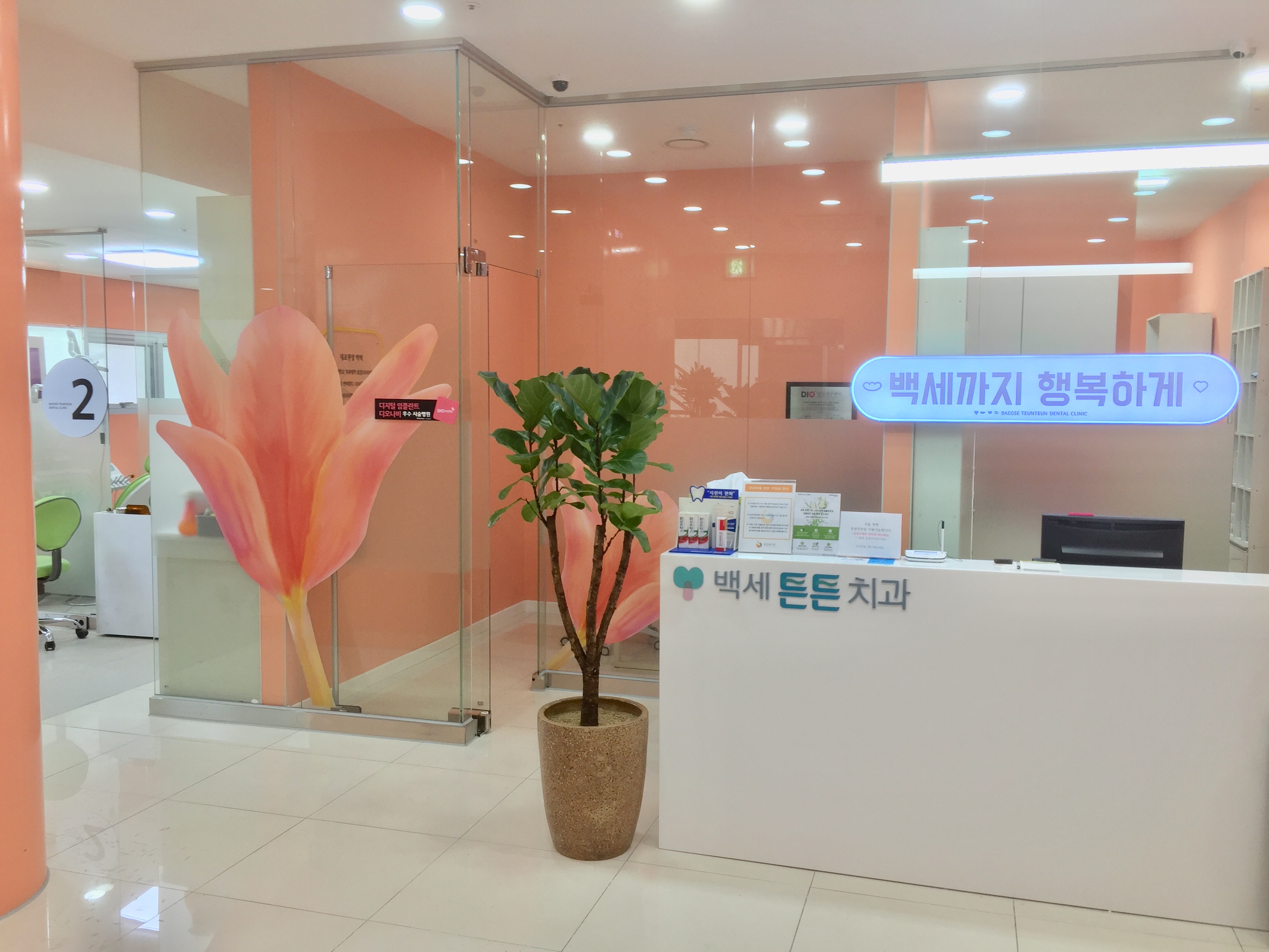백세튼튼치과의원 대표 이미지