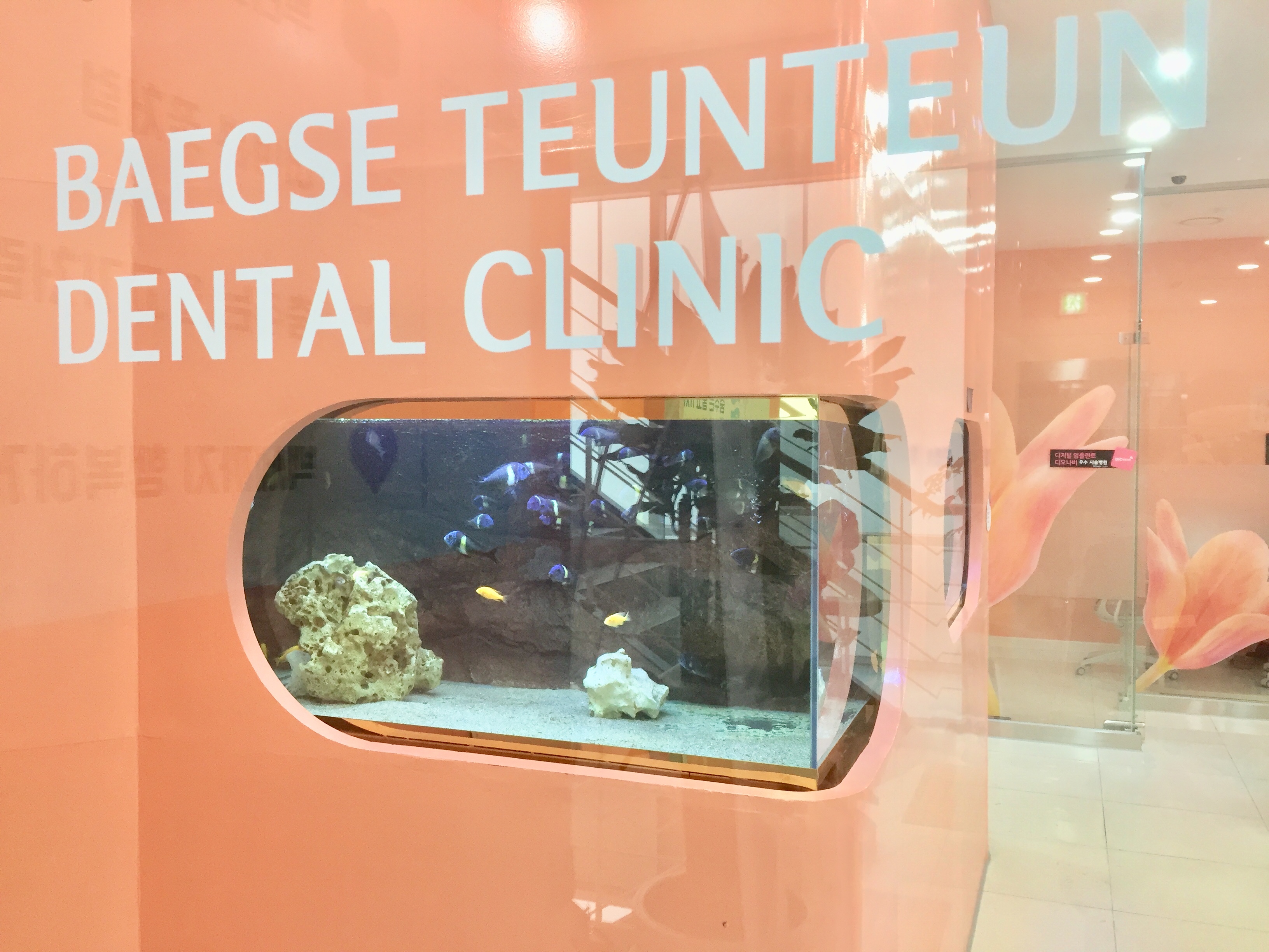 백세튼튼치과의원 대표 이미지