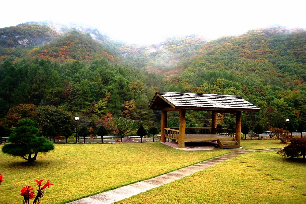 촌노의 정원