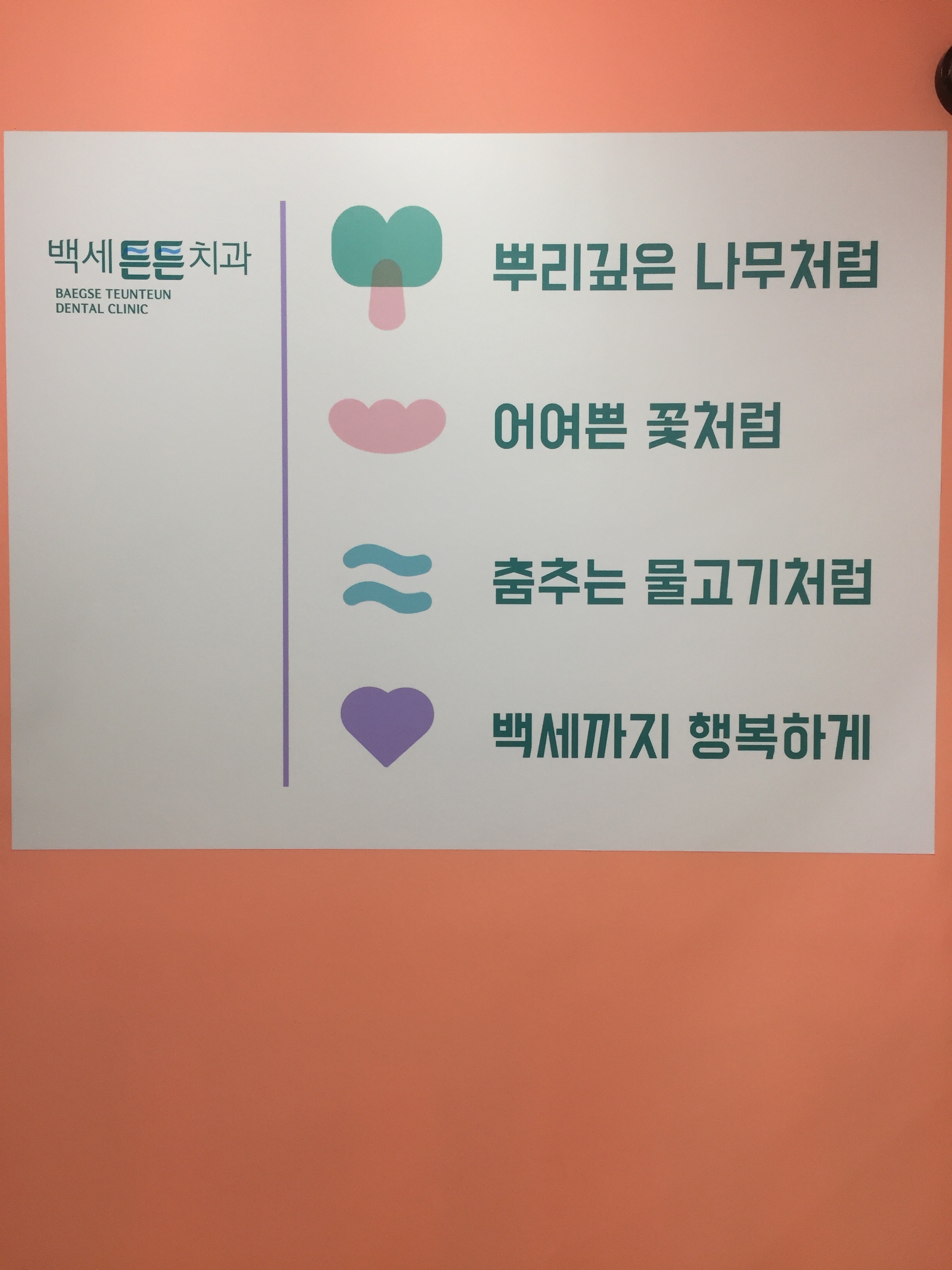 백세튼튼치과의원 대표 이미지