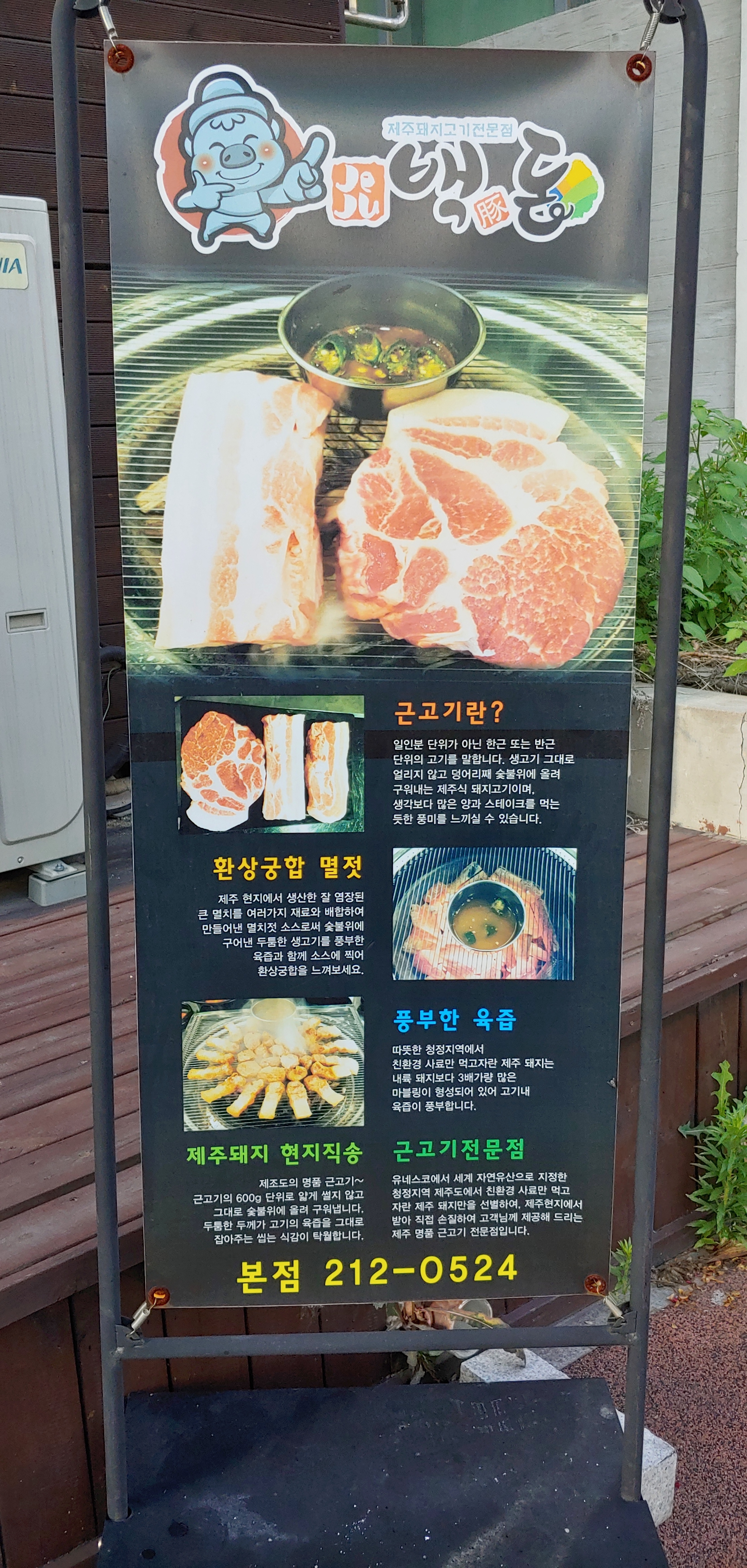제주백돈