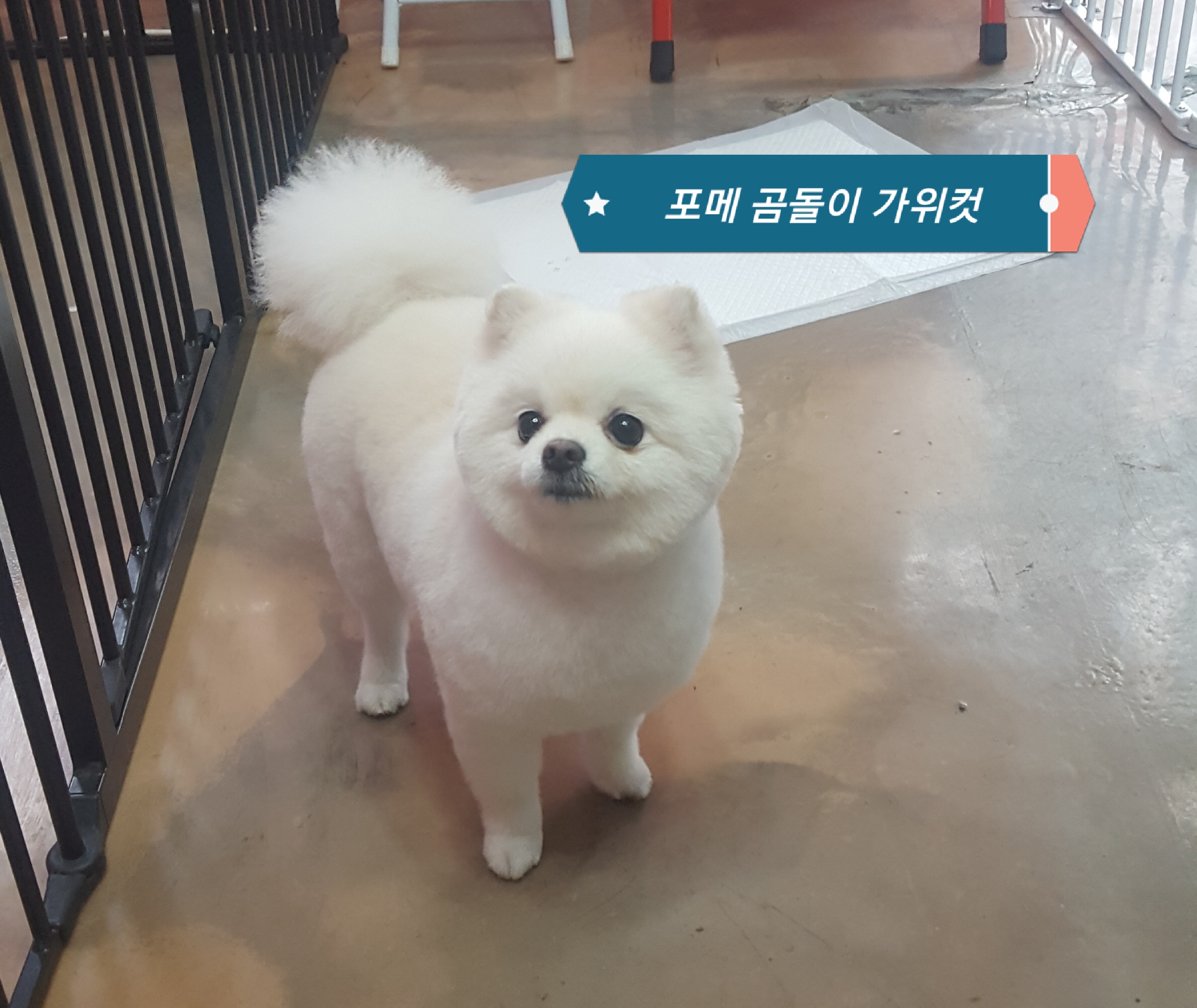 멍블리 대표 이미지