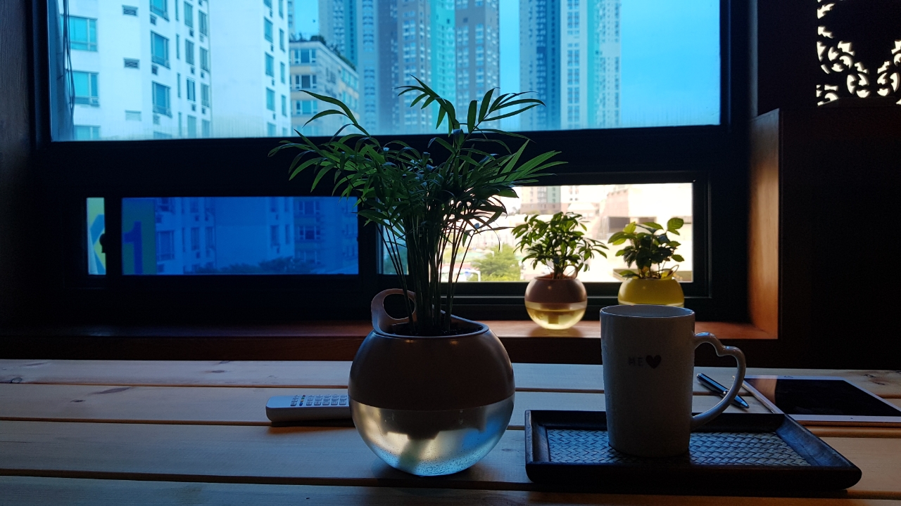 힐링 아로마테라피 일산본점 photo 7