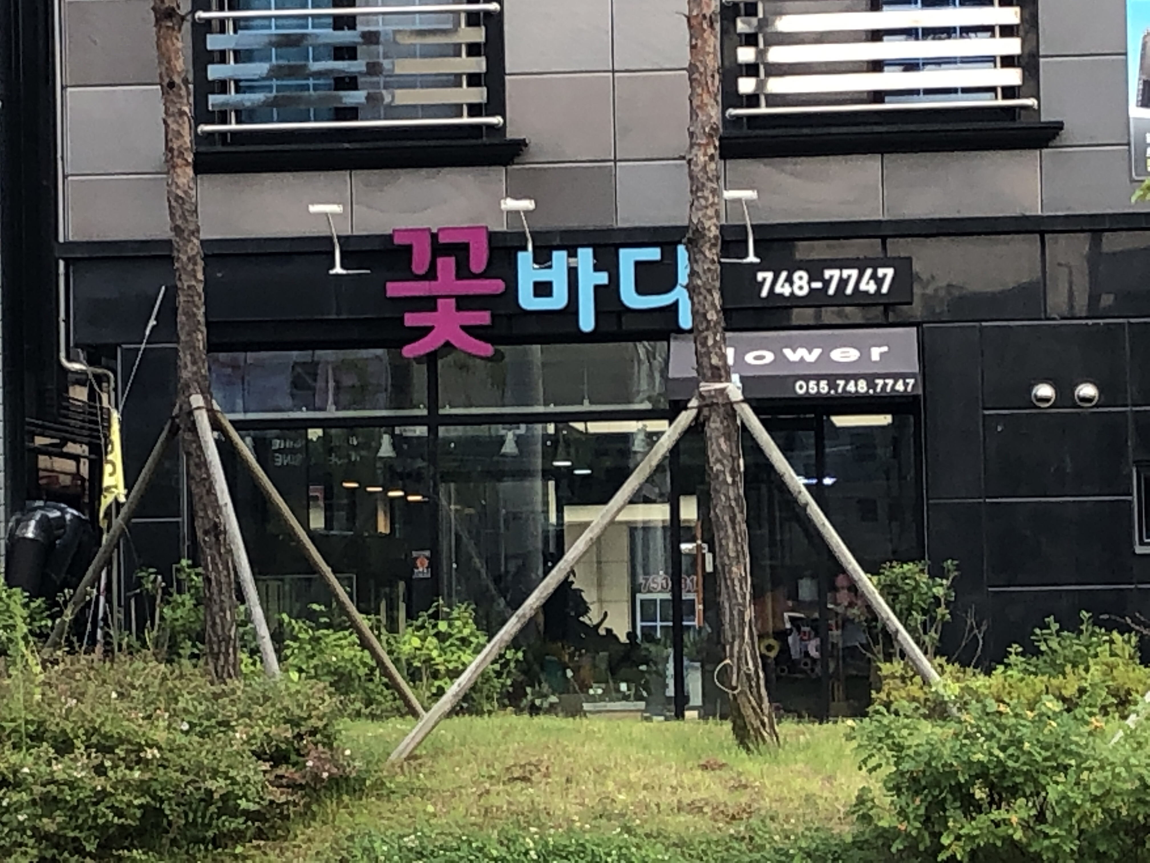 꽃바다