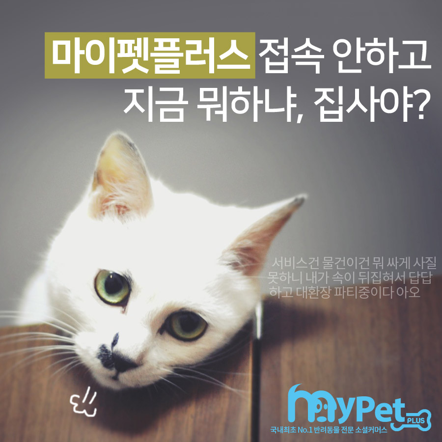 마이펫플러스 대표 이미지