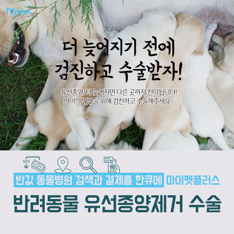 마이펫플러스 대표 이미지