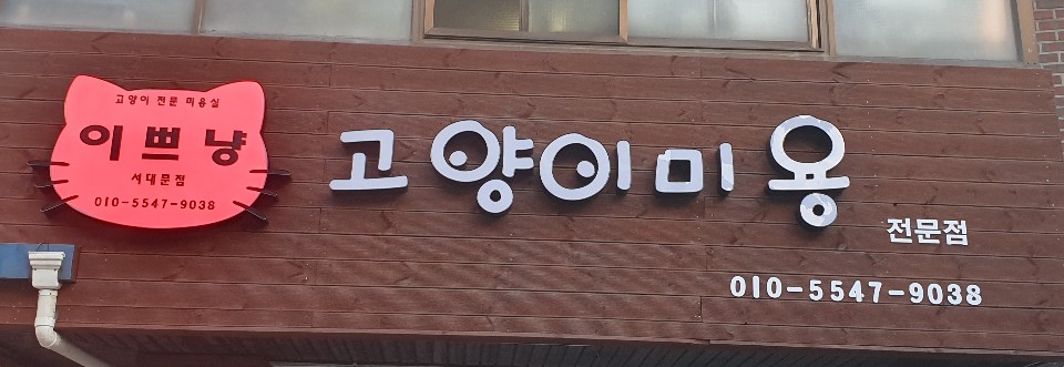 이쁘냥 고양이미용실 서대문점 대표 이미지