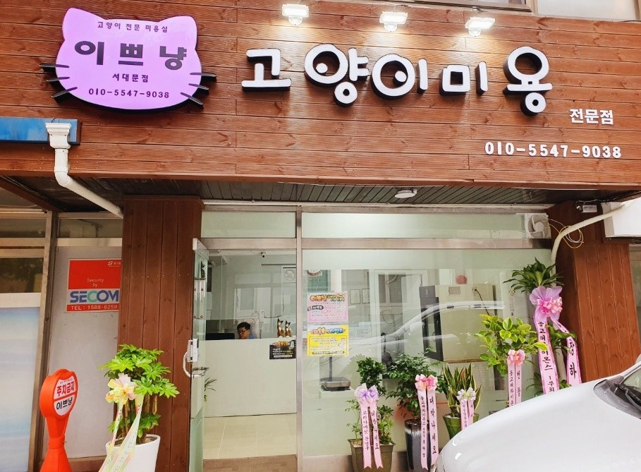 이쁘냥 고양이미용실 대표 이미지