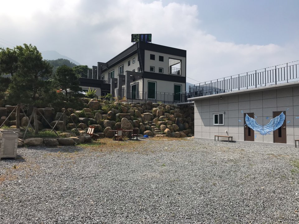 청담네 반려동물 동반 애견카페