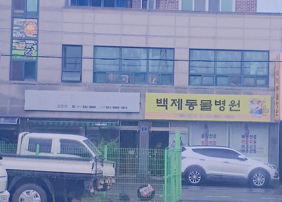 백제동물병원 대표 이미지