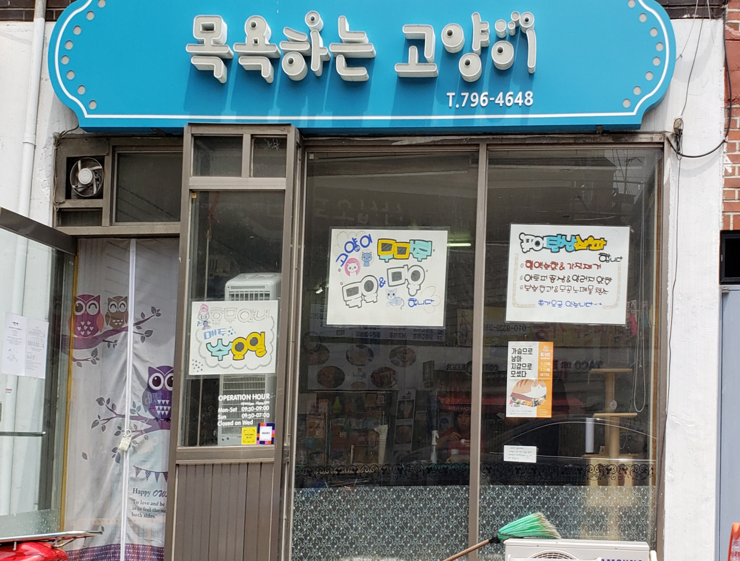 목욕하는고양이 대표 이미지