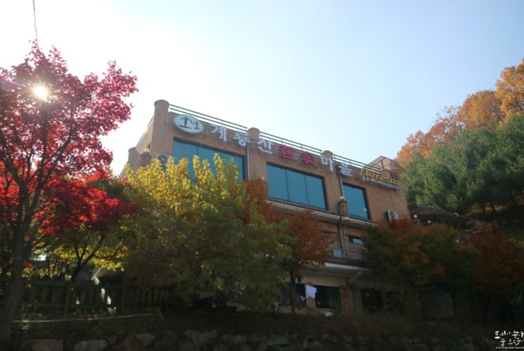 계룡산참숯마을찜질방
