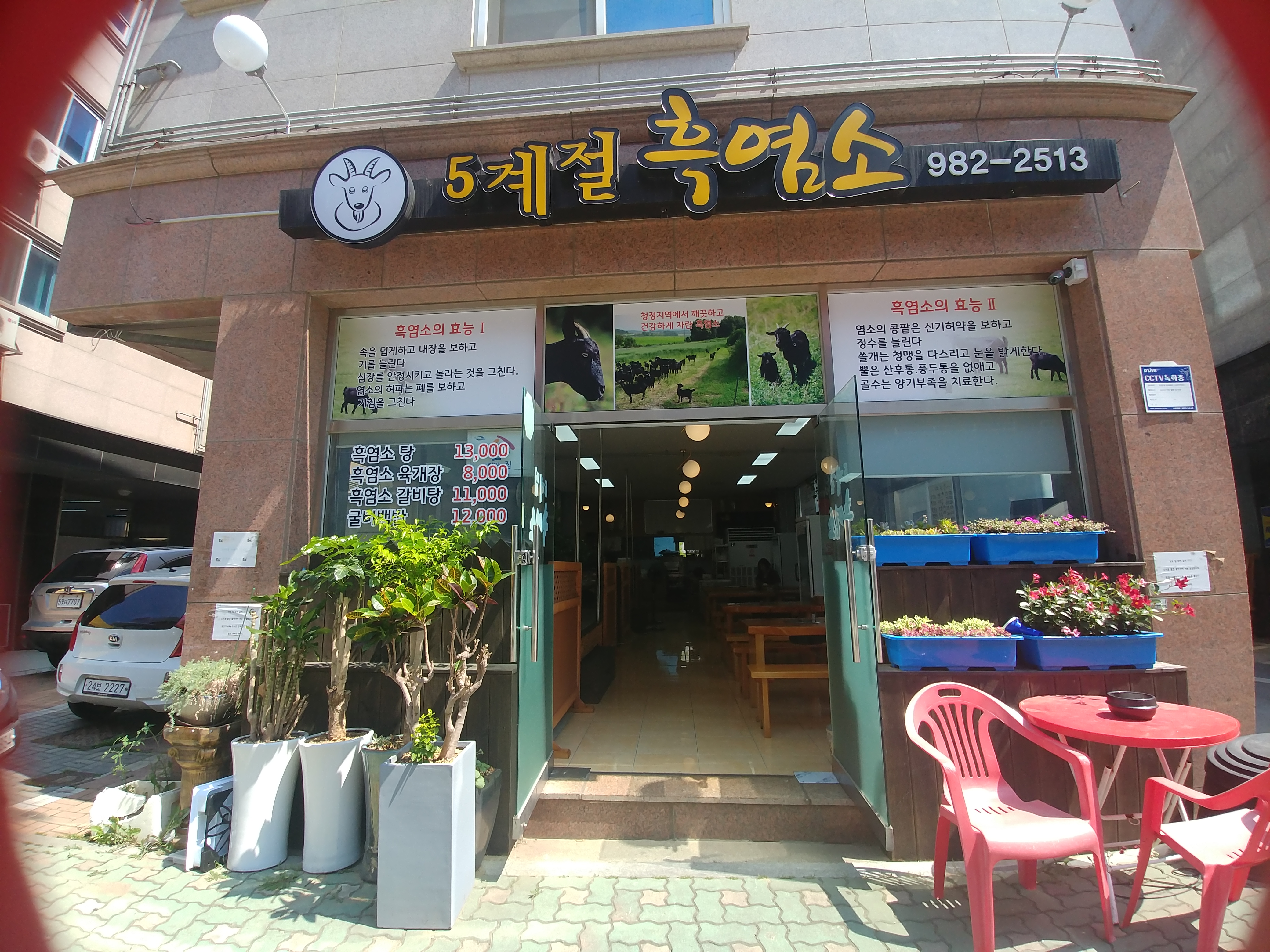 오계절흑염소