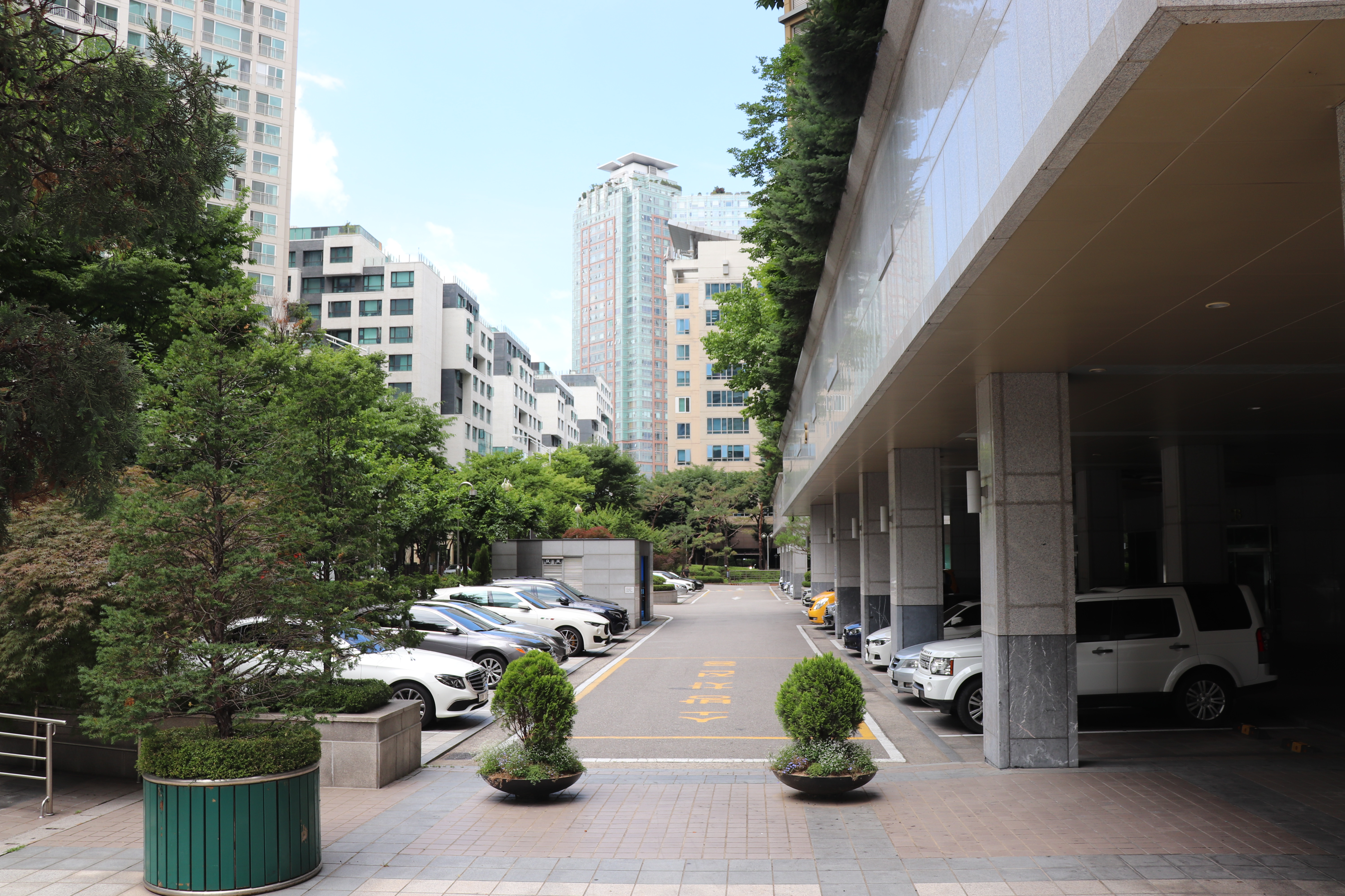 24시 더클래스 동물메디컬센터