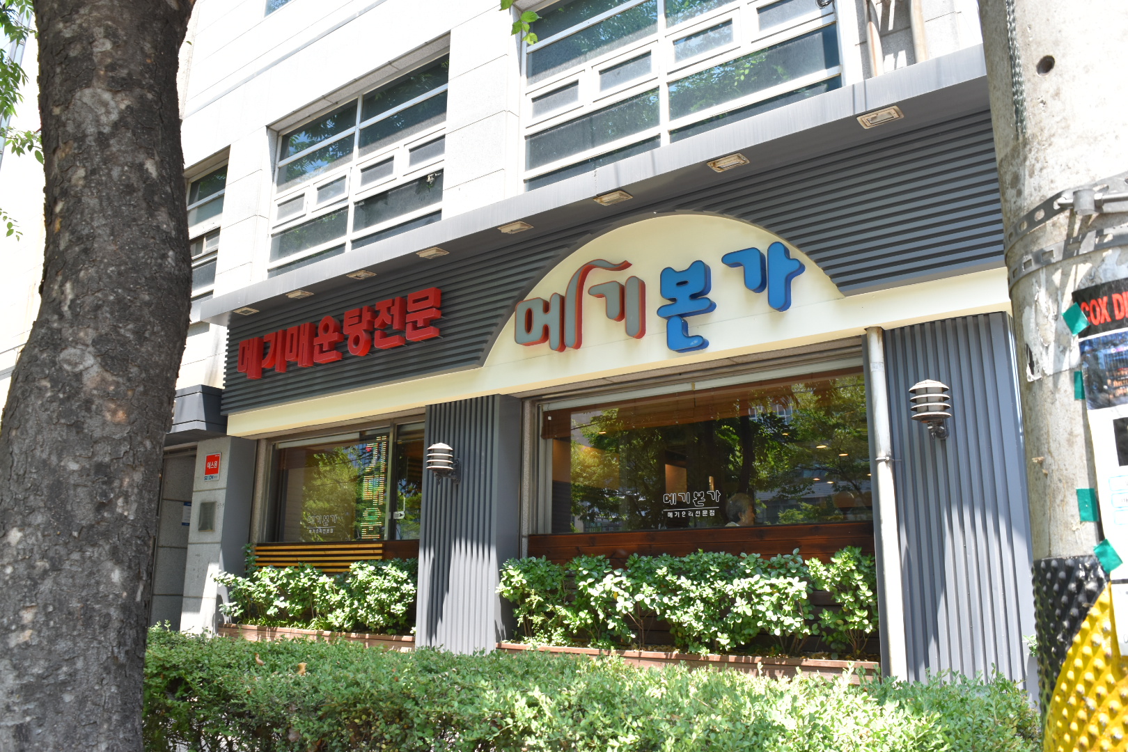 메기본가