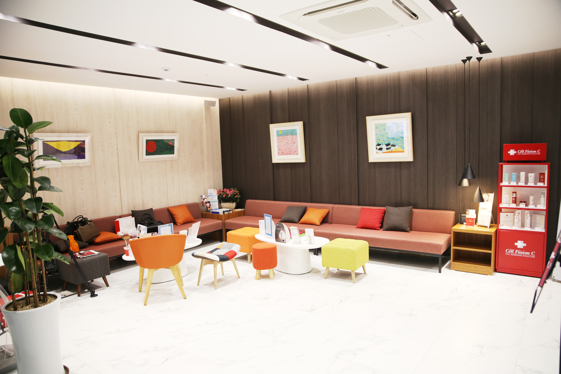 스타1성형외과 대표 이미지