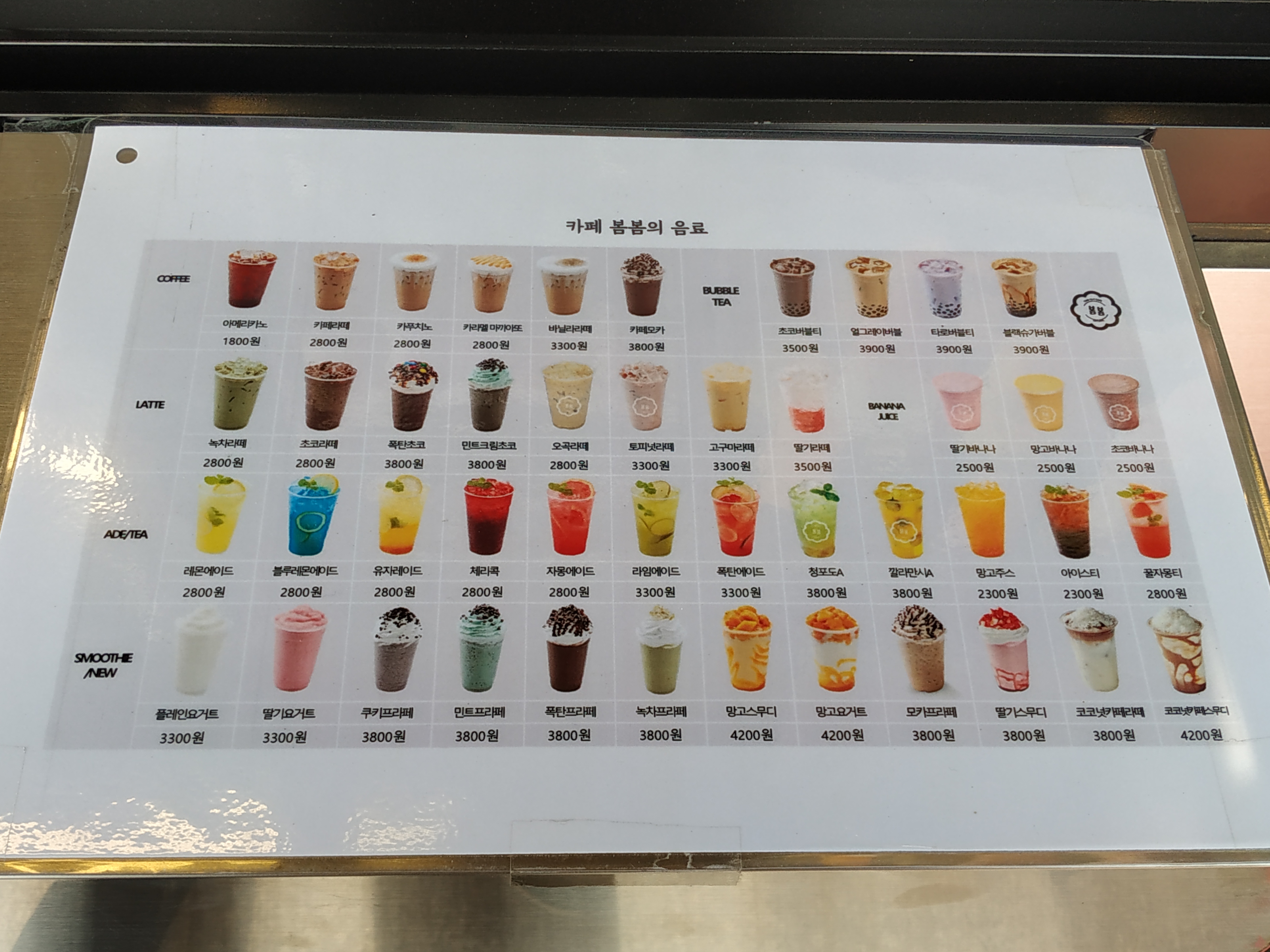 개팔상팔 경상 애견맛집