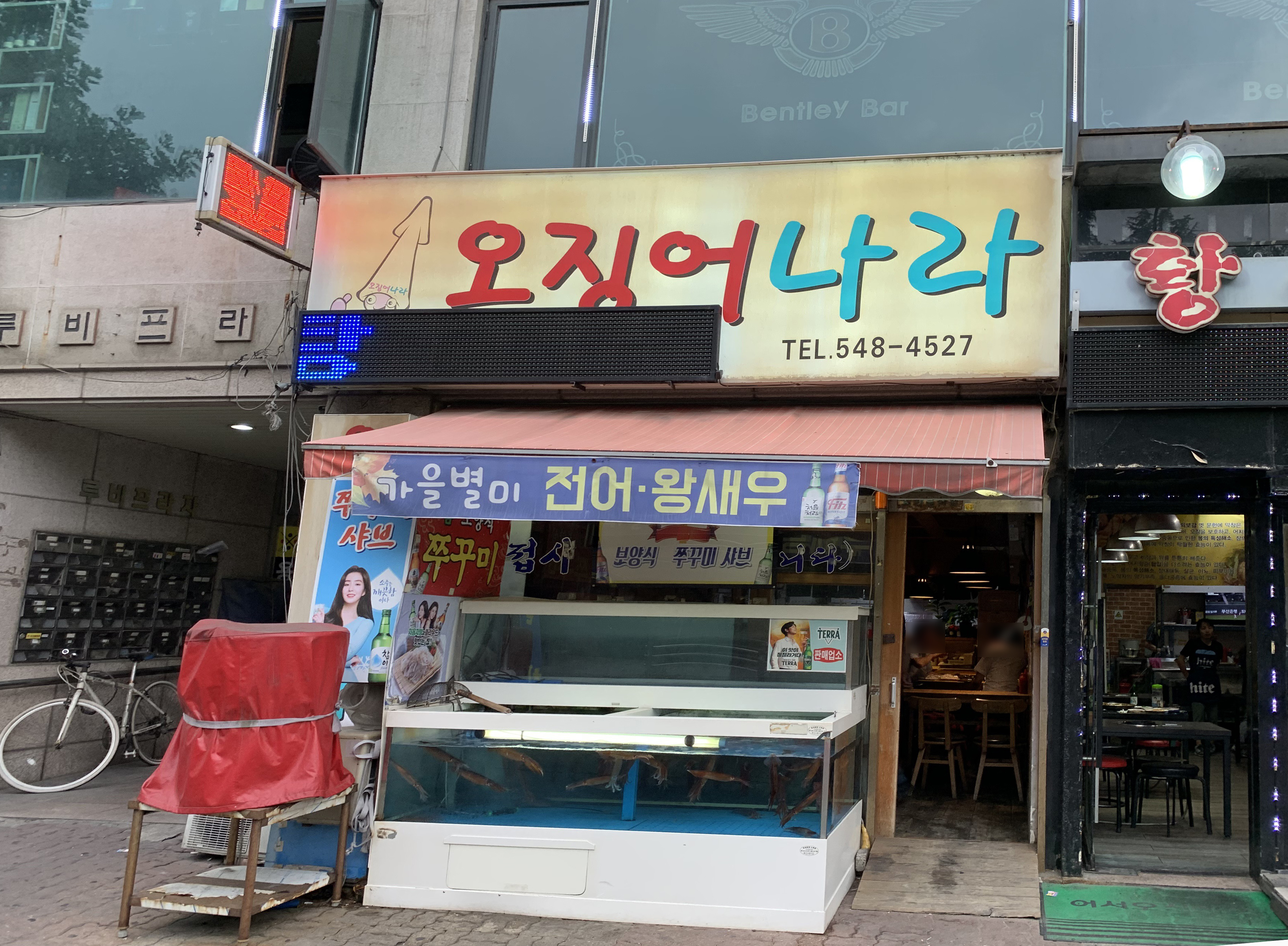 오징어나라
