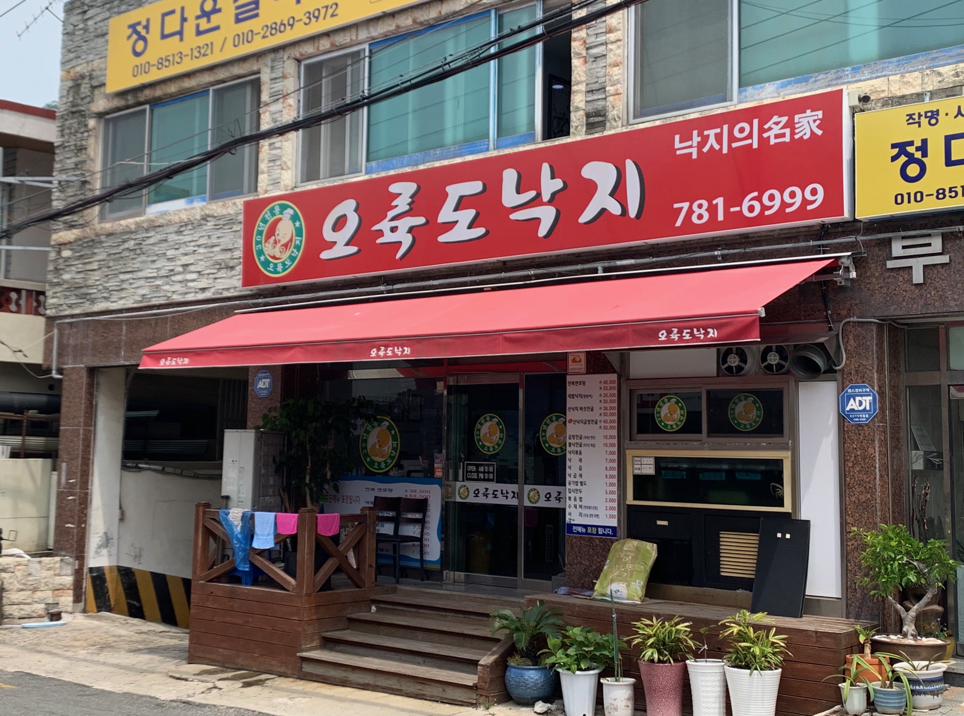 오륙도낙지