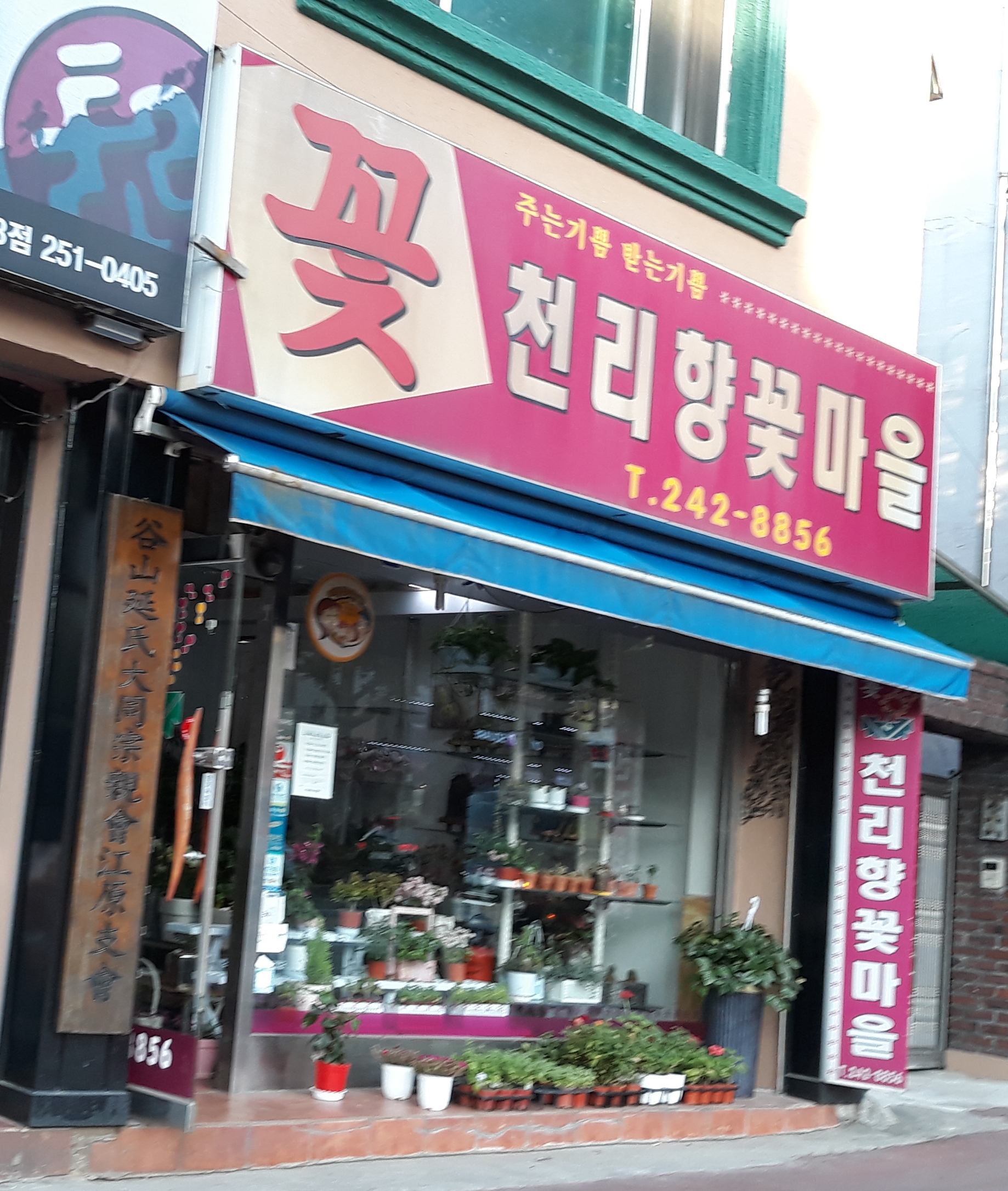 천리향꽃마을