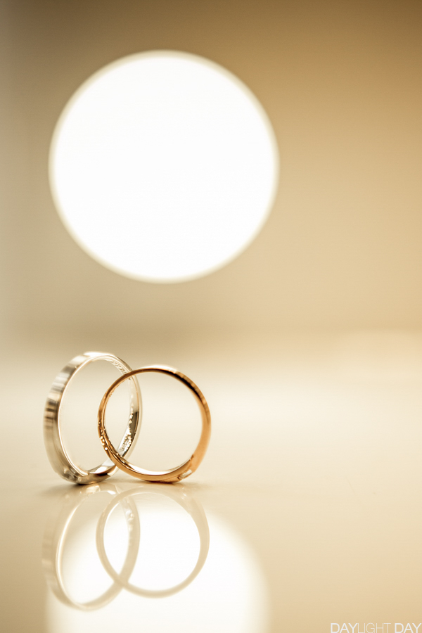 데이라잇데이 대표 이미지