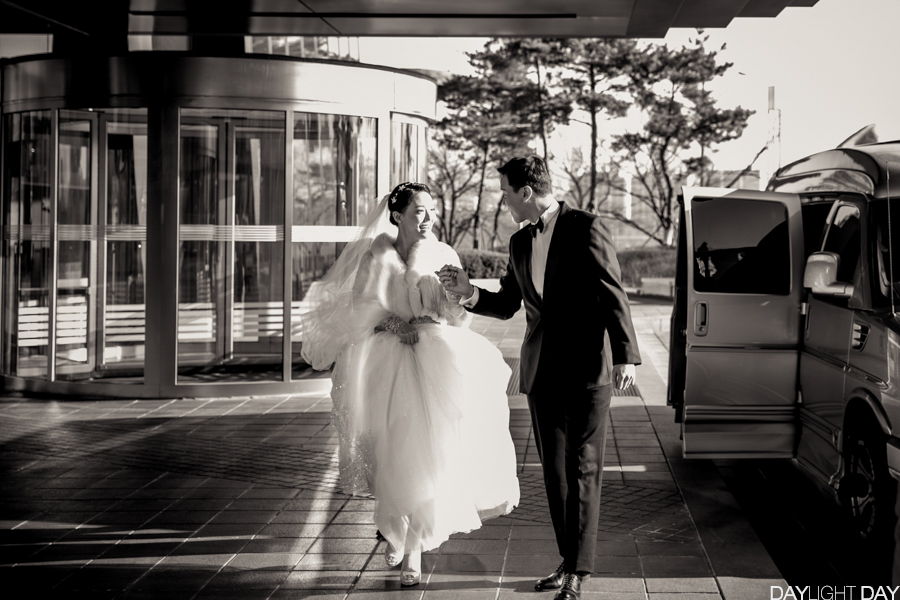 데이라잇데이 대표 이미지