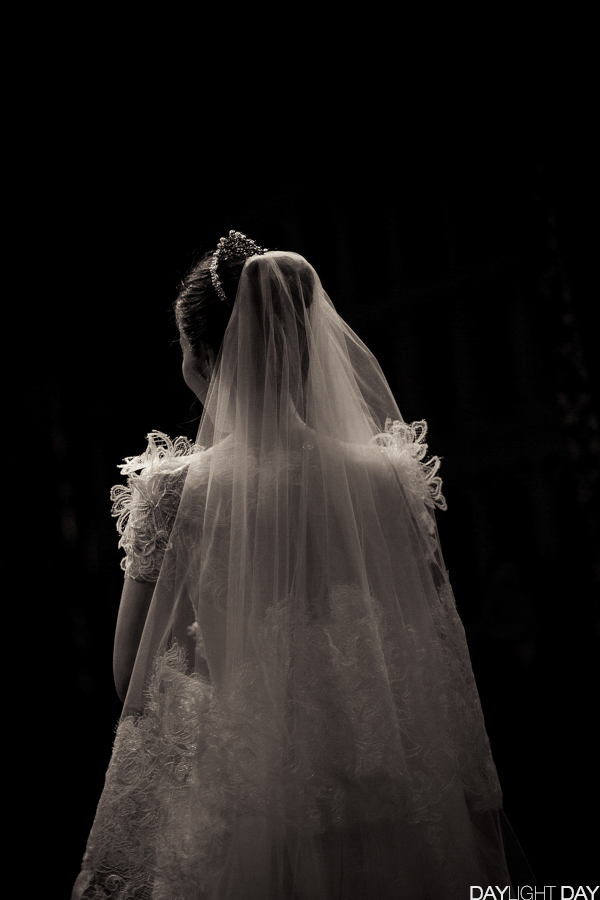 데이라잇데이 대표 이미지