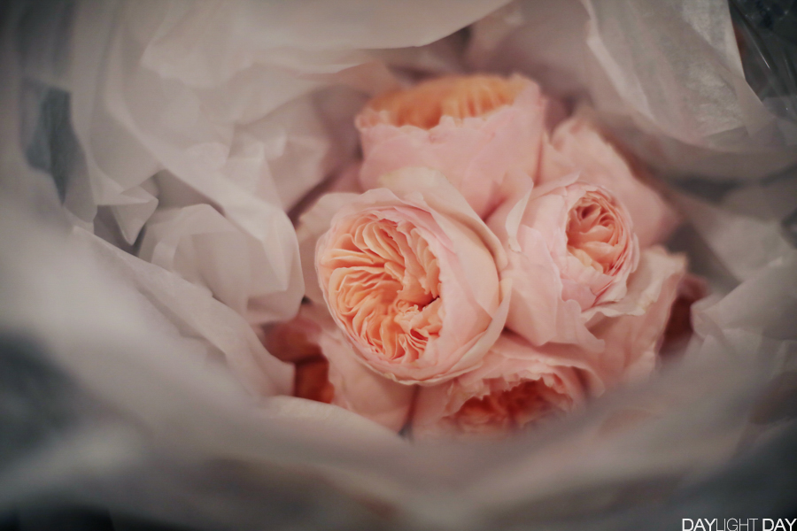 데이라잇데이 대표 이미지 - 감성 본식 스냅