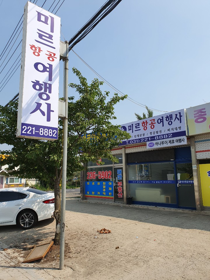 미르항공여행사